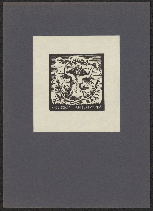 Vítězslav Fleissig - Ex libris Ant. Plecitý