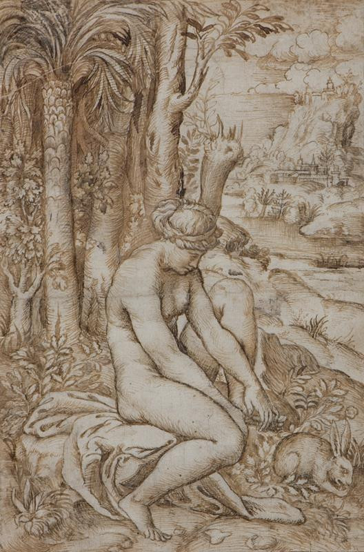 Marco Dente zv. Marco da Ravenna - Venuše zraněná trnem růže
