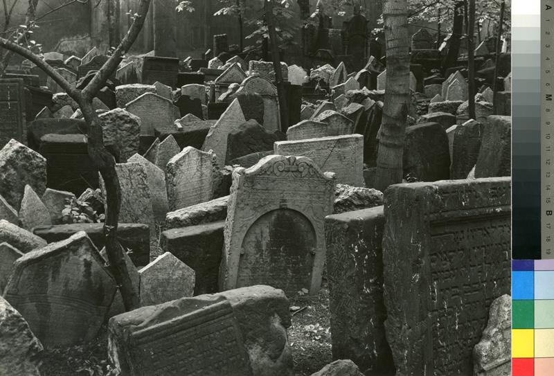 Josef Ehm - Na starém židovském hřbitově