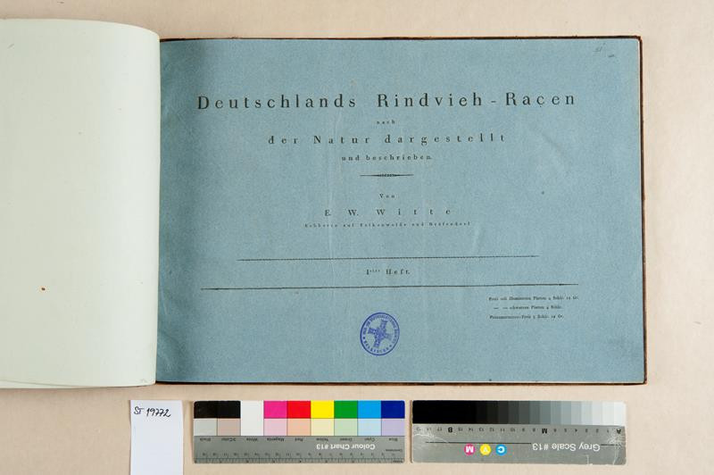 E. W. Witte - Deutschlands Rindvieh-Racen nach der Natur dargestellt und beschrieben. Erstes Heft