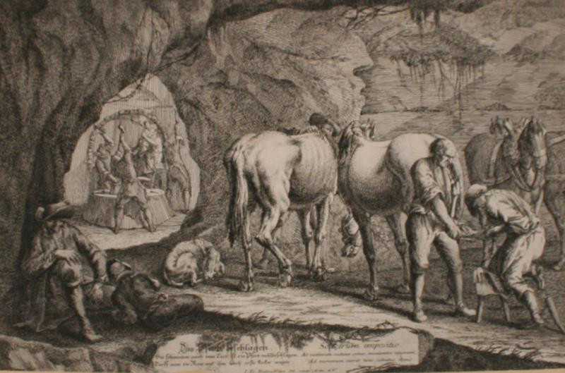 Johann Elias Ridinger (Riedinger) - Das Pferd Seschlagen