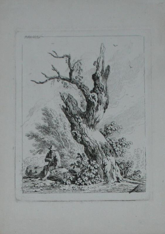 Johann Joseph Schindler - Pahýl  stromu