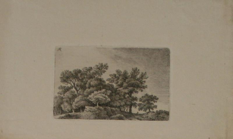 Anton Koelbl (Kölbl) - Skupina  stromů