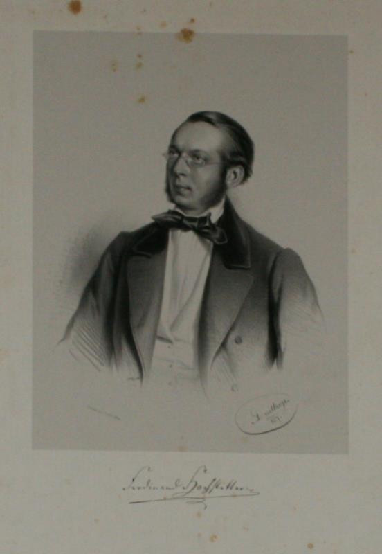 Adolf Dauthage - Ferdinand Hochstetter