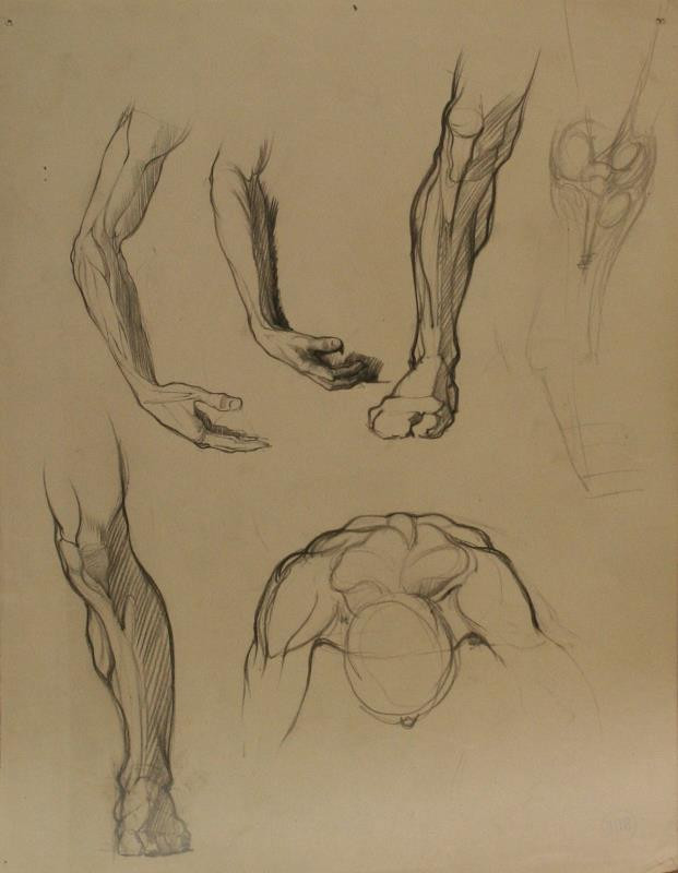 Rudolf Leger - Studie rukou a nohou