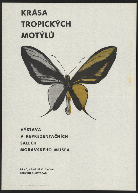 neznámý - Krása tropických motýlů. Moravské museum Brno 1972