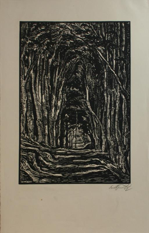 Karel Tondl - Cesta v lese