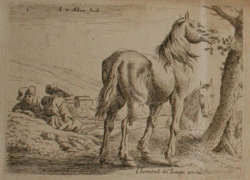 Jan van Aken - Kůň
