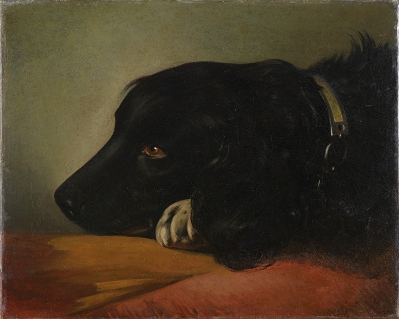 Friedrich von Amerling - Hlava psa Pluta
