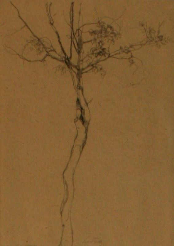 Leo Fitz - Studie stromu