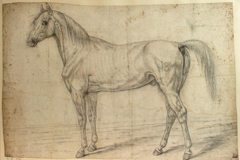 Johann Dallinger von Dalling /1741 - Kůň