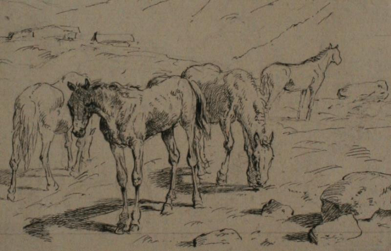 Theodor Hörmann - Koně na pastvě