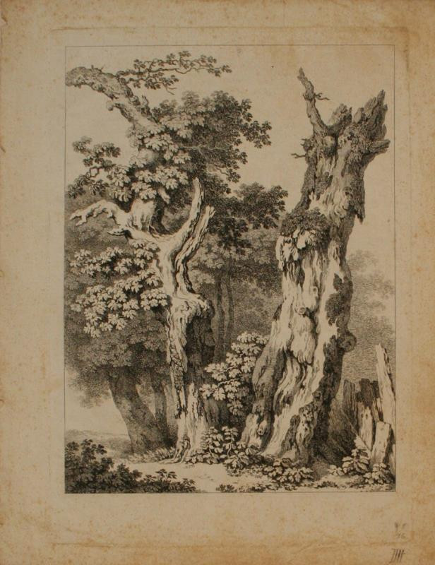 Franz Gabet - Pahýly dubů