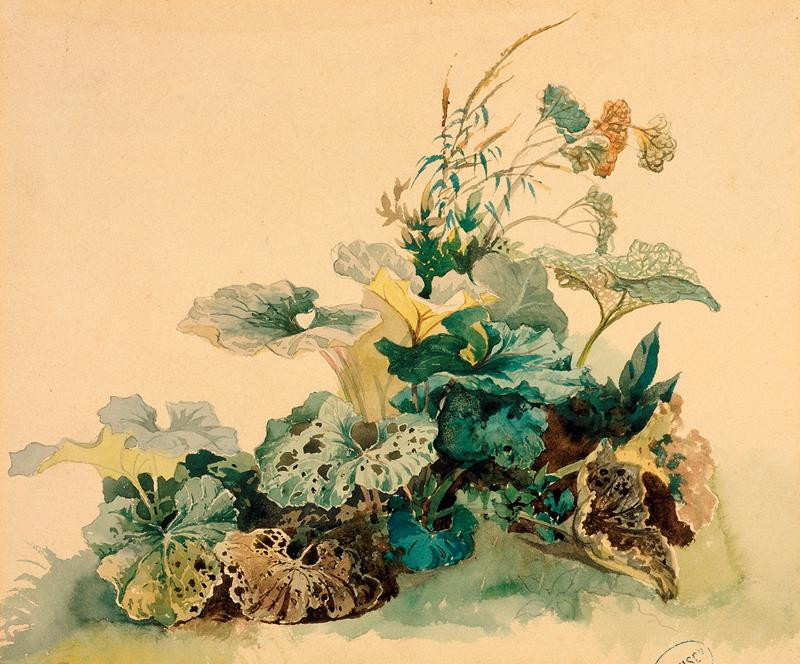 Leopold Munsch - Studie rostlin