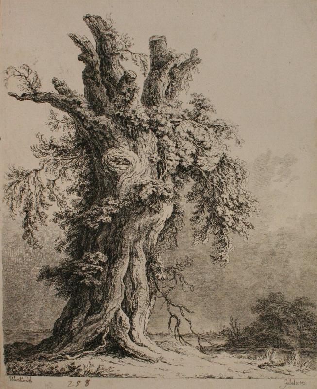 Franz Gabet - Starý strom