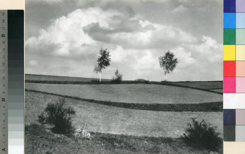 Adolf Schneeberger - Symetrie v krajině