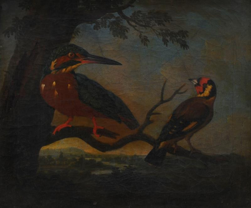 Philipp Ferdinand de Hamilton - Studie ptáků II