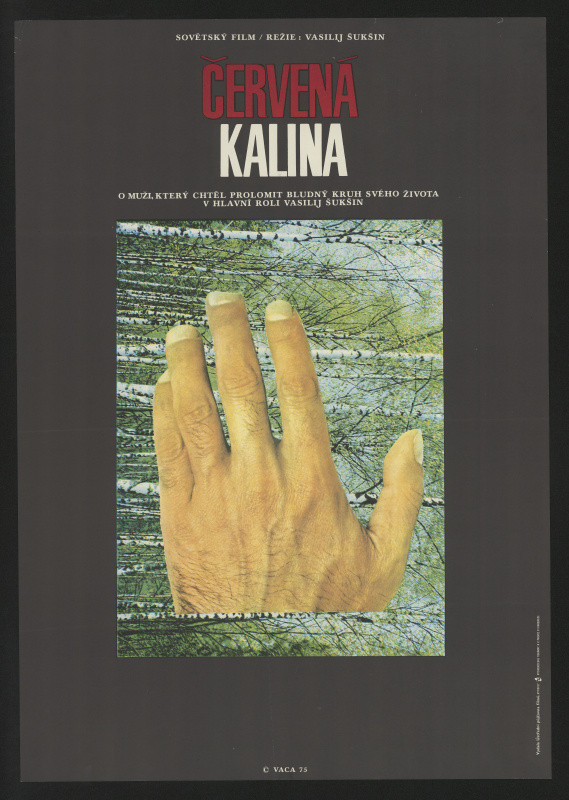 Karel Vaca - Červená kalina