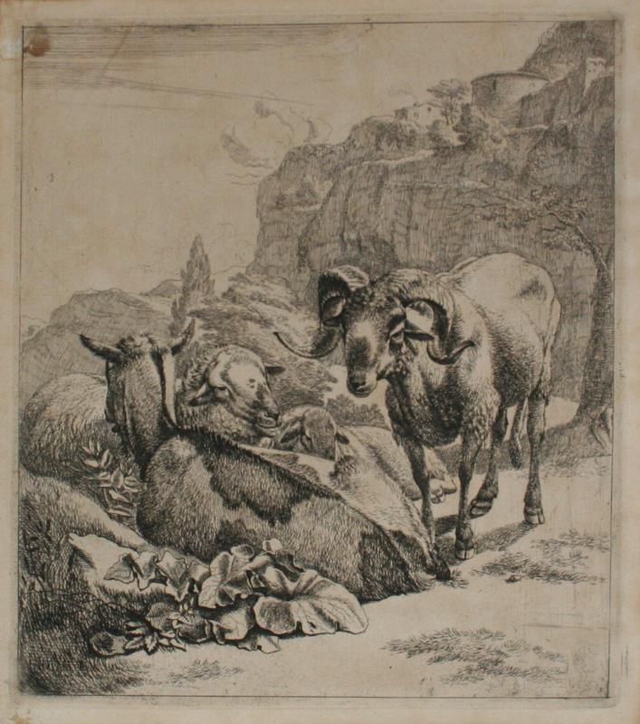 Johann Heinrich Roos - grafika - zvířecí studie
