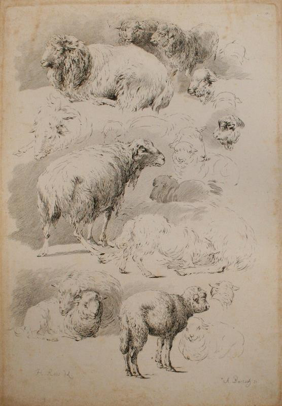 Adam Bartsch - Etudes d' animaux dessintes par H. Roos