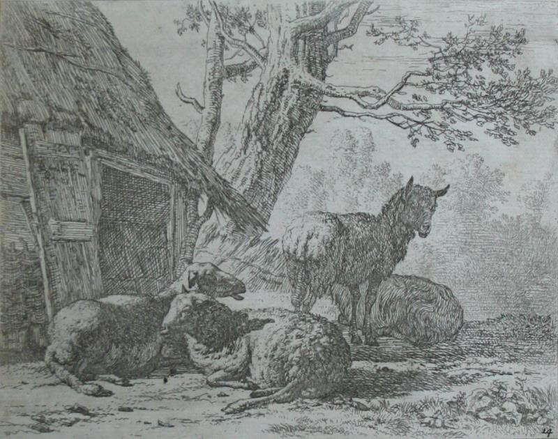 Karel Dujardin - Čtyři ovce