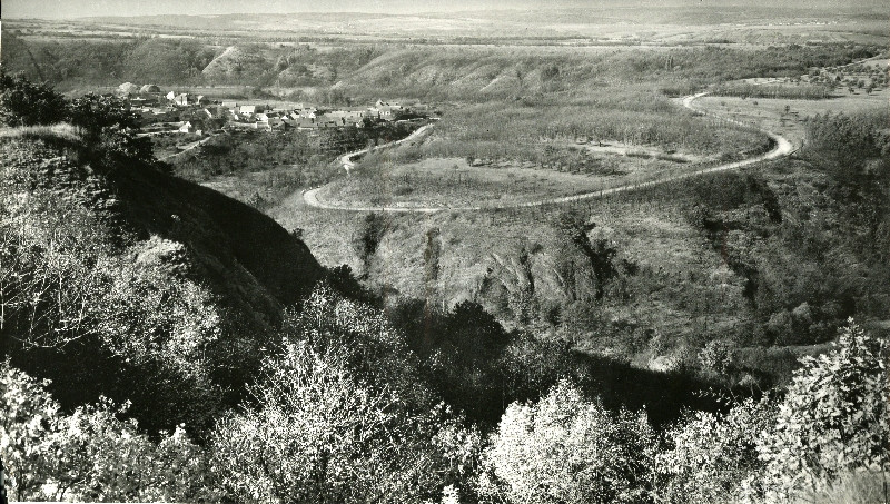 Miloš Spurný - Rokytná (státní rezervace).