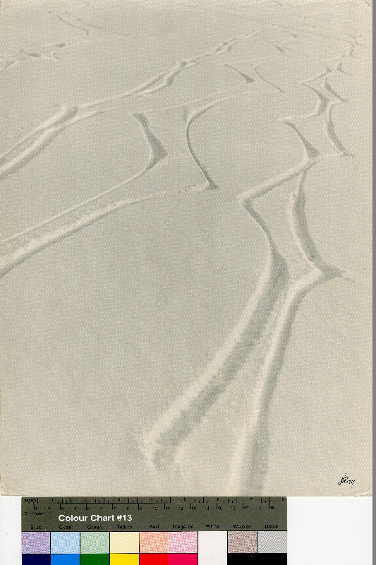 Adolf Rossi - Stopy ve sněhu
