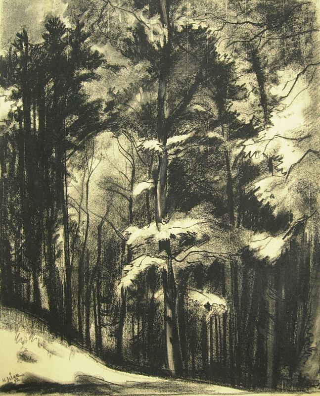 Karel Jílek - Listnatý les