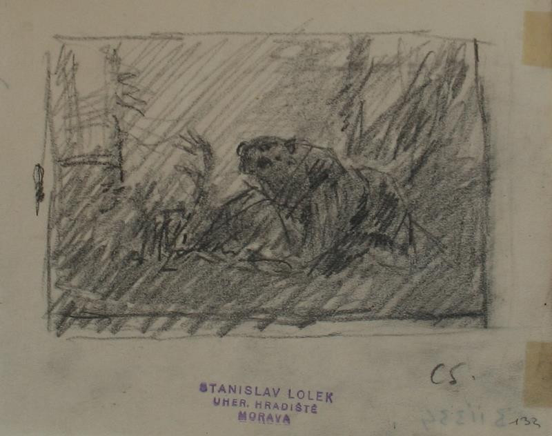 Stanislav Lolek - Medvěd v lese