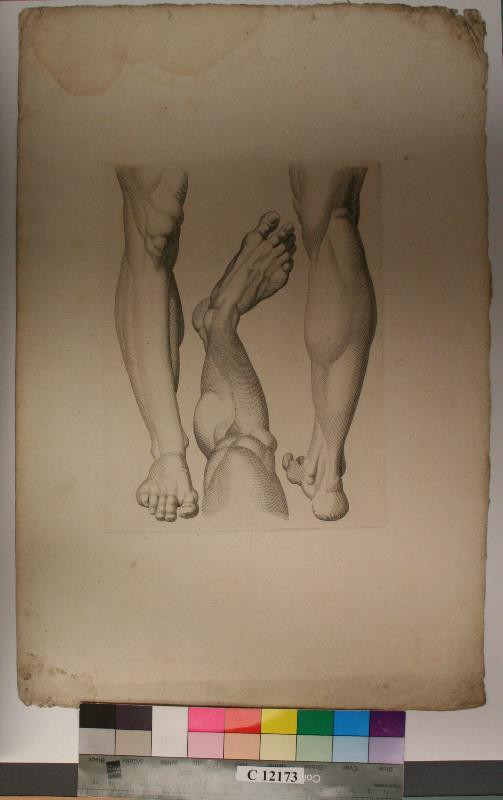 neznámý grafik italský - Studie  nohou