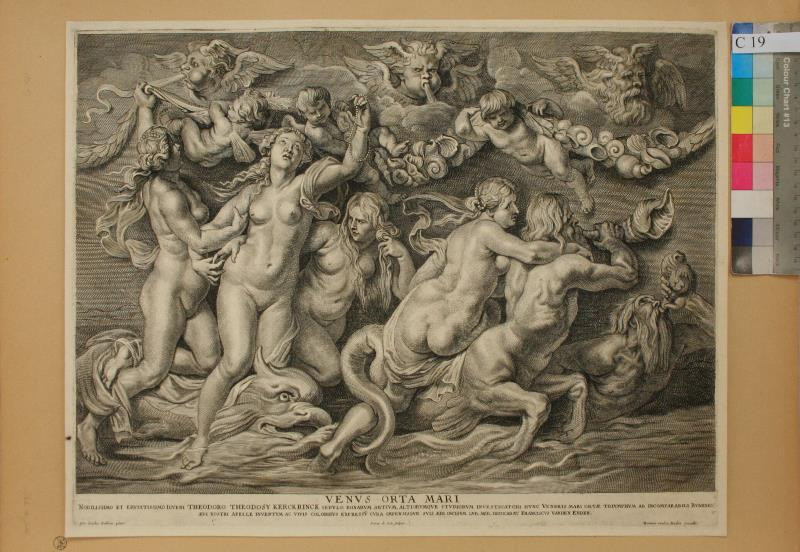 Pieter de Jode II. - Venus orta mari