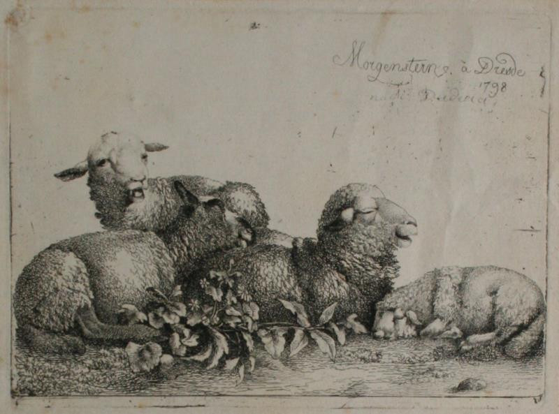 Johann Friedrich Morgenstern - Skupina čtyř ovcí