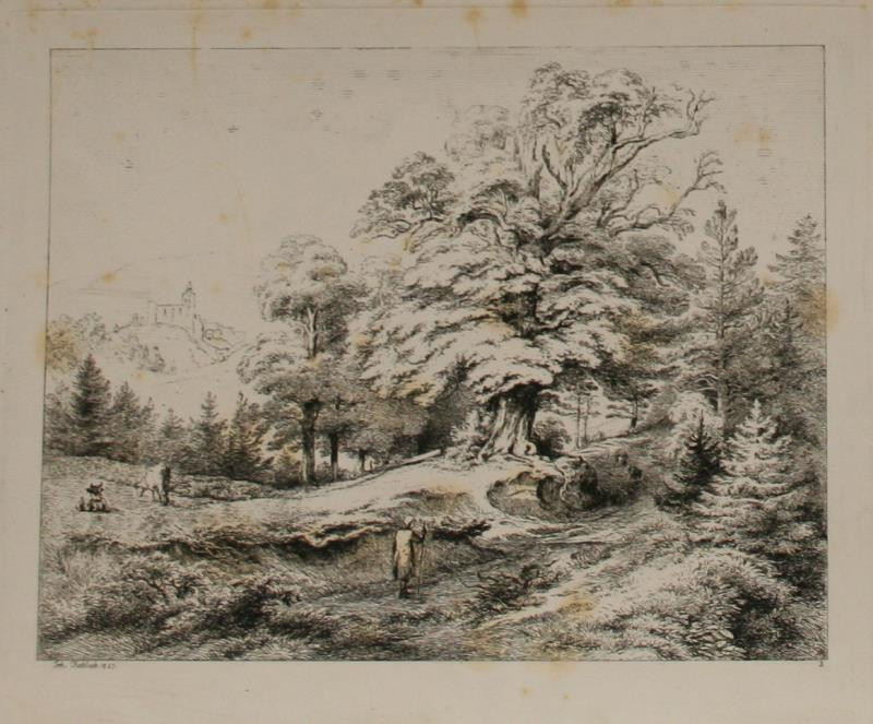Johann Fischbach - Lesnatá krajina (3)