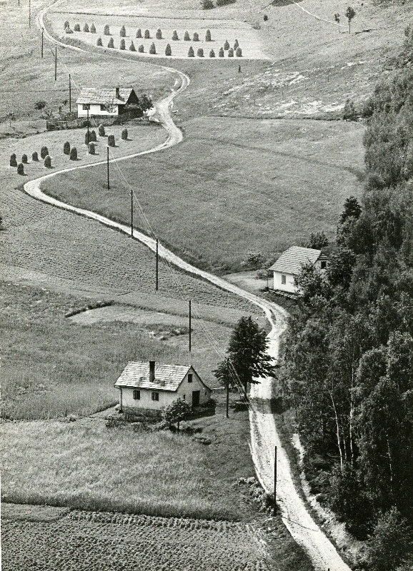 Miloš Spurný - Dvě cesty. (Beskydy).