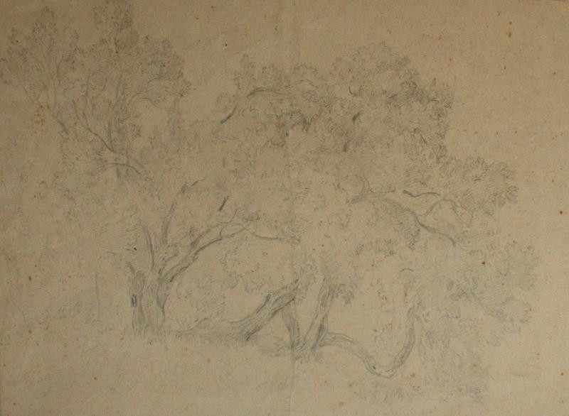 Antonín Mánes - Studie starých stromů