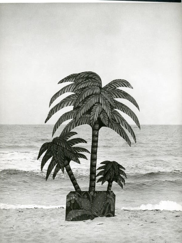 Vilém Reichmann - Palm Beach.