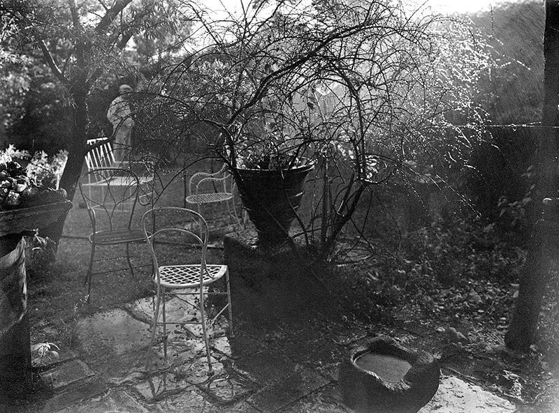 Josef Sudek - Procházka po kouzelné zahrádce