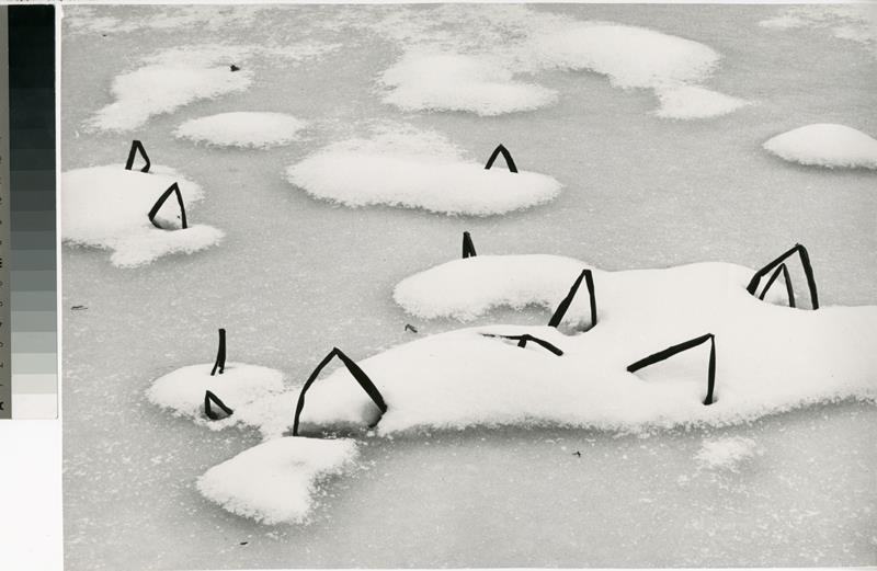 Vilém Reichmann - Bez názvu (z cyklu Sněhová grafika)