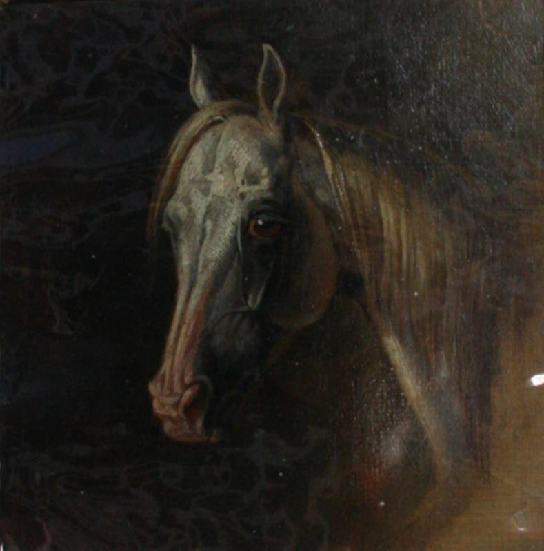 Albrecht Adam - Hlava koně