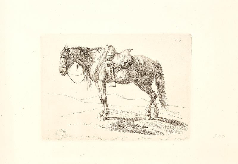 Johann Adam Klein - Osedlaný kůň