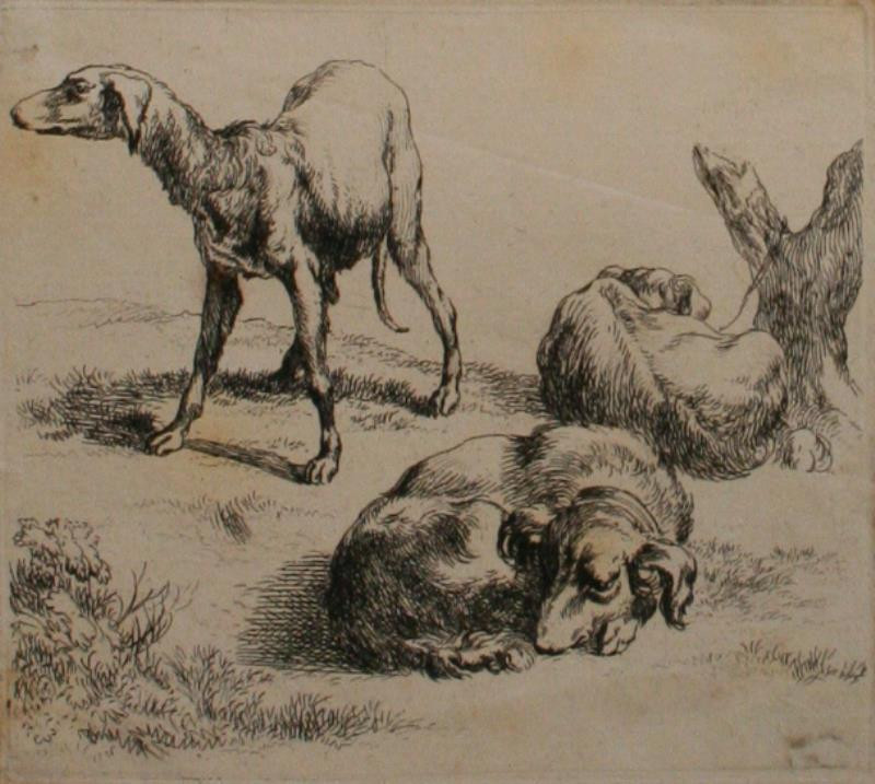 Claes (Nicolaes) Berchem - Tři honící psi