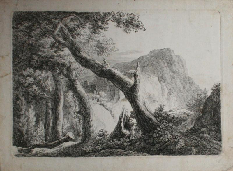 neznámý rytec - Stromy v horách