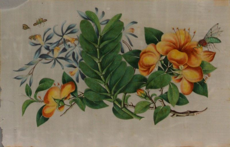 neurčený autor - Čínská malba - Květiny s hmyzem