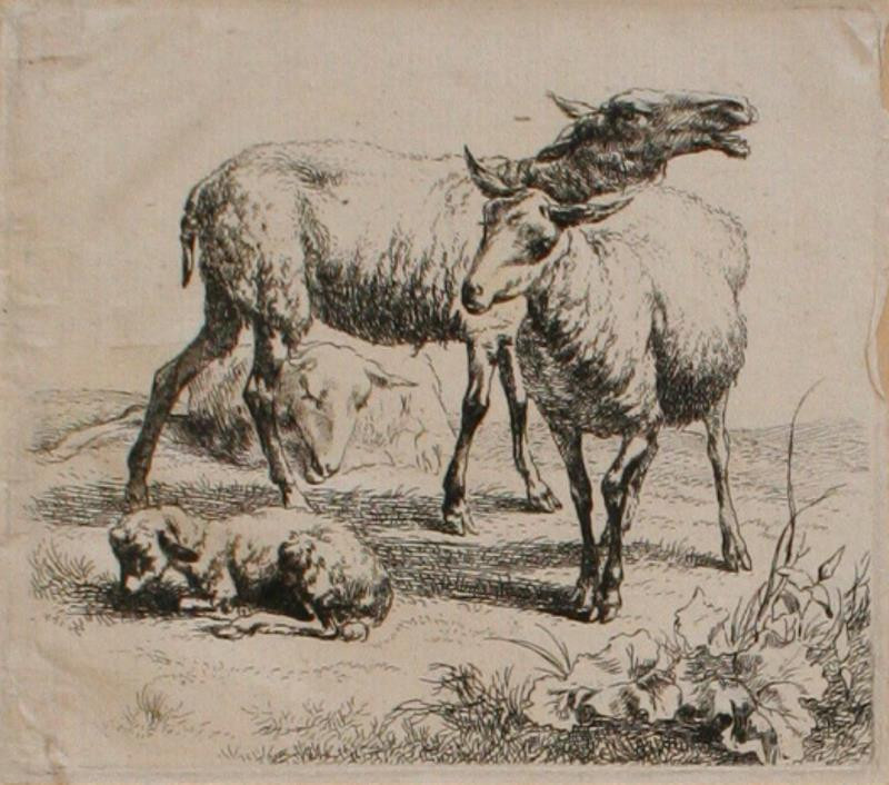 Claes (Nicolaes) Berchem - Ovce s jehnětem