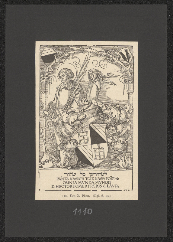 Dürer, Albrecht
Dürer, Albrecht - D. Hector Pomer praepos s. Laur