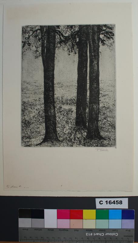 František Kobliha - Tři stromy