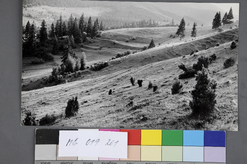 Miloš Spurný -  Nízké Tatry - pod ohništěm