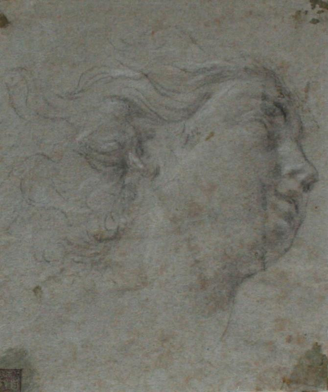 Peter Paul Rubens - Hlava ženy