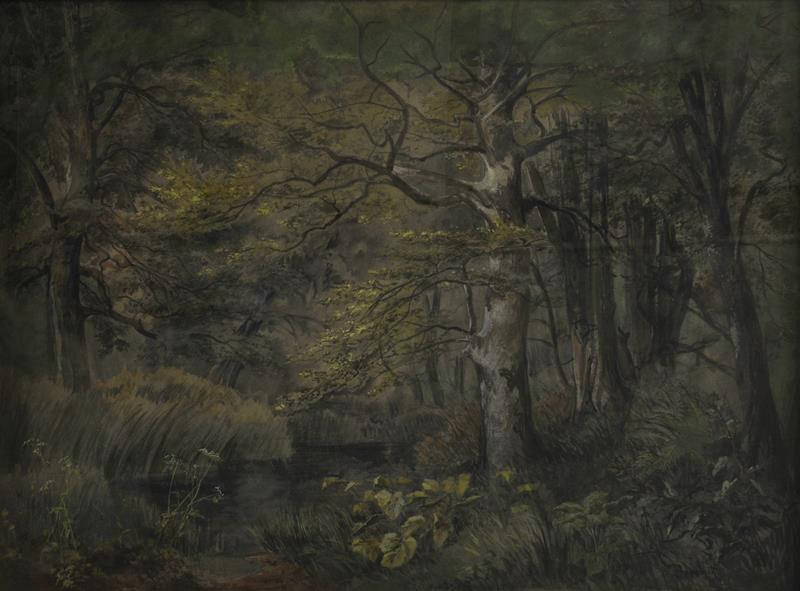 Bedřich Havránek (Fridrich Hawranek) - Bukový les (II. Varianta)