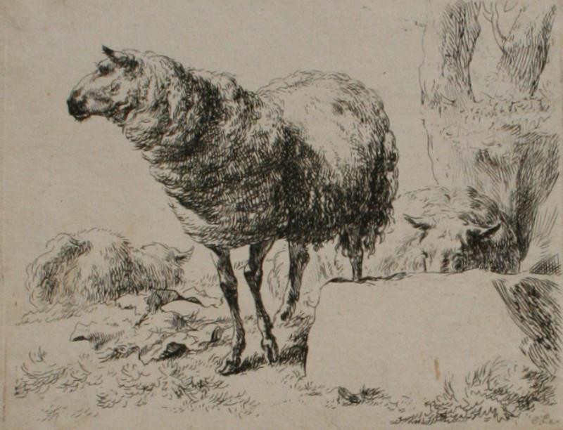 Claes (Nicolaes) Berchem - Ovce